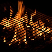Barbecue rack with fire