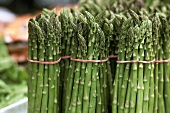 Bundles of Fresh Green Asparagus at the Market