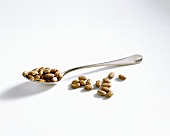 Dried Pinto Beans; Spoon