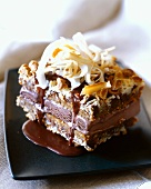Chocolate Ice Cream Sandwiched Between Peanut Butter & Coconut Bars
