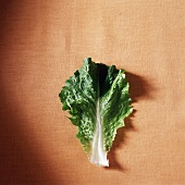 A Romaine Lettuce Leaf