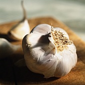 Garlic bulb