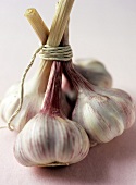 Four garlic bulbs tied together with string