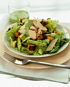 Caesar salad with chicken and avocado