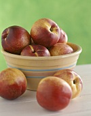 Nectarines in Front of and in a Bowl