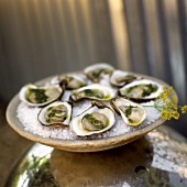 Oysters Drizzled with Pesto