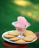Raspberry Ice Cream in a Dessert Glass with Sugar Cookies Outdoors