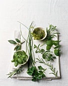 Herbs on white linen cloth