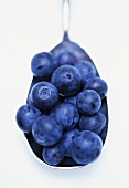Fresh blueberries in spoon