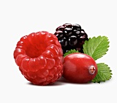 A Raspberry, Cranberry and Blackberry