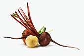 Wurzelgemüse: Kartoffel, Rote Bete und Rübe