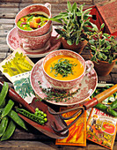 Carrot soup and pea soup; fresh sage; garden tool