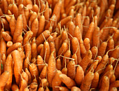 Fresh carrots (filling the picture)