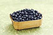 A Basket of Blueberries