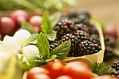 Blackberries with Fresh Mint and Vegetables in Crates