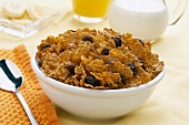 A Bowl of Bran Flake Cereal and Raisins without Milk