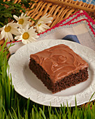 A Piece of Chocolate Cake with Frosting in the Grass with a Picnic Basket