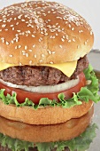 A Cheeseburger Close Up
