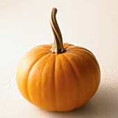 One Small Pumpkin