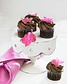 Schokoladencupcakes mit rosa Blüten