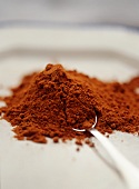 A pile of chili powder with spoon