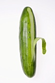 Single cucumber peeled