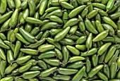 Green chillies (variety: Jalapeño)