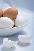 White and Brown Eggs in White Bowl with Cracked White Egg Shell