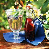 Apple schorle with blueberries, bottle of blueberry vinegar