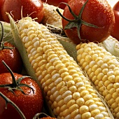 Corn cobs with tomatoes