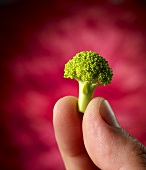 Finger and Thumb Holding a Broccoli Florette