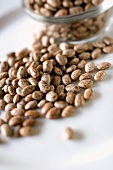 Pile of Uncooked Pinto Beans, Pinto Beans in a Bowl