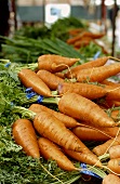 Large Carrots at Market