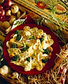 Plate of Farfalle Pasta with Broccoli and Cauliflower; From Above