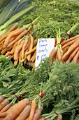 Fresh carrots at a farmer's market (USA)