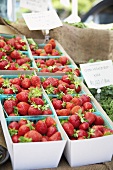 Erdbeeren in Schalen auf einem Markt (USA)