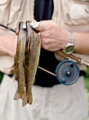 Man with fishing rod holding two freshly caught trout