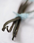 Vanilla pods, tied together with blue ribbon