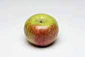 A red and green apple (variety: Macoun)