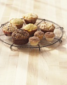 Assorted muffins on cake rack