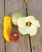 Still life with pointed pepper, swede and okra flower