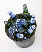 Beer bottles and ice cubes in a bucket
