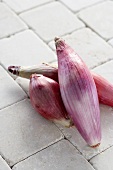 Three Red Torpedo Tropea Onions