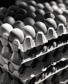 Stacked Egg Cartons with Eggs