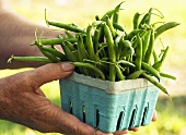 Hands Holding a Carton of Freshly Picked String Beans