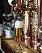 Tall Glass of Golden Lager on Bar in Front of Taps