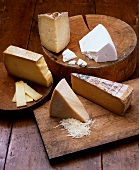 Variety of Cheeses on Wooden Boards