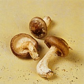 Three shiitake mushrooms