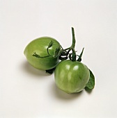 Two Green Tomatoes