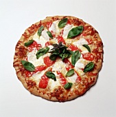 Pepper and Basil Pizza